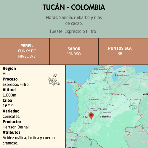 Tucán Ficha Tucán Ficha