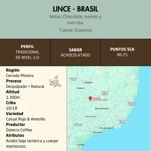 Lince Ficha