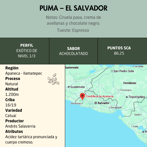 Puma Ficha Puma Ficha