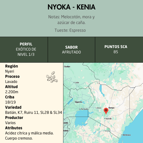 Nyoka Ficha Nyoka Ficha